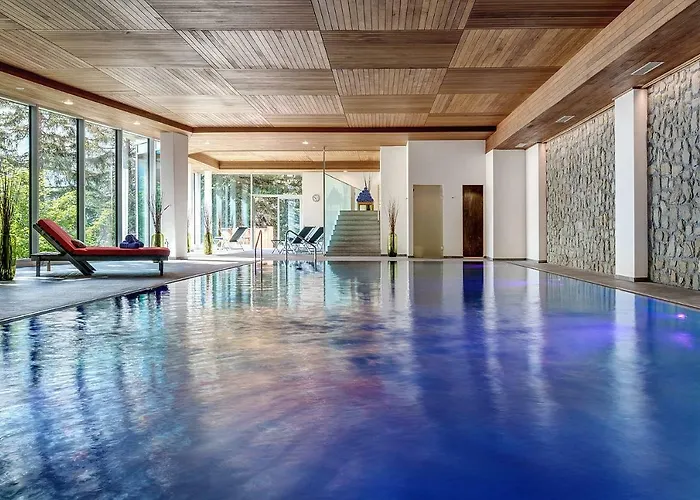 Blatter's & Bella Vista Hotel Arosa